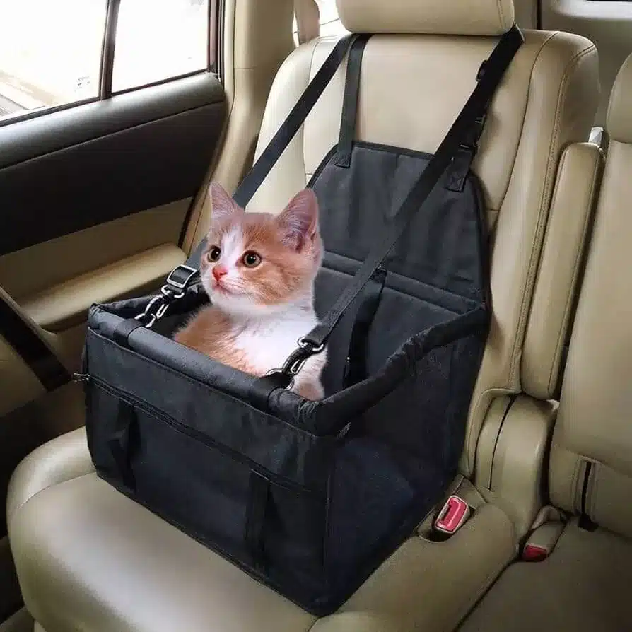 Cat Car Seat