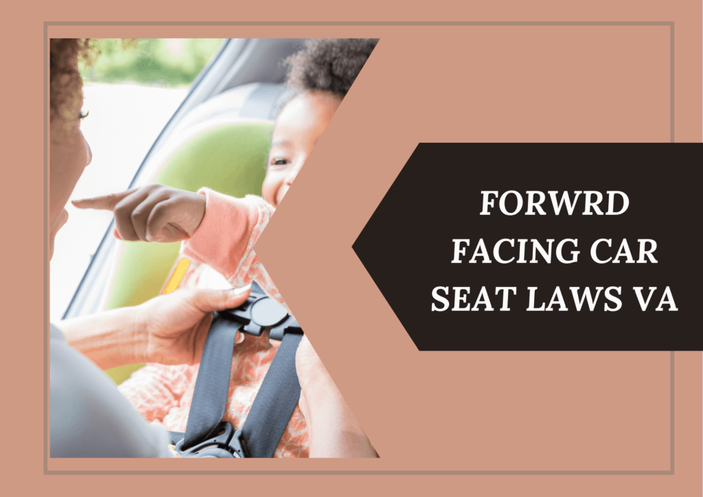 Booster Car Seat Laws Va 