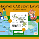hawaii car seat laws a9 1
